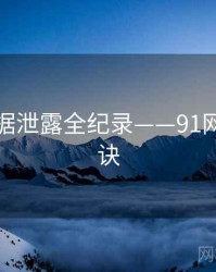 热辣数据泄露全纪录——91网爆火秘诀