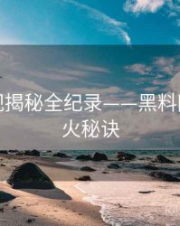 热辣影视揭秘全纪录——黑料网今日爆火秘诀