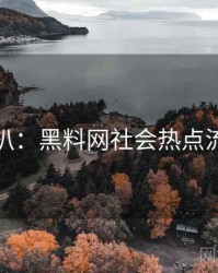 独家深扒：黑料网社会热点流量密码