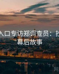 黑料网入口专访郑调查员：抄袭风波幕后故事