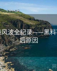 焦点抄袭风波全纪录——黑料不打烊背后原因