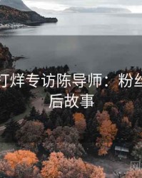 黑料不打烊专访陈导师：粉丝大战幕后故事